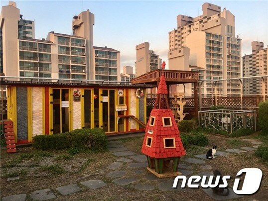 강동구청 옥상에 마련된 '길고양이 어울쉼터'의 모습. (사진 강동구청 제공) © News1