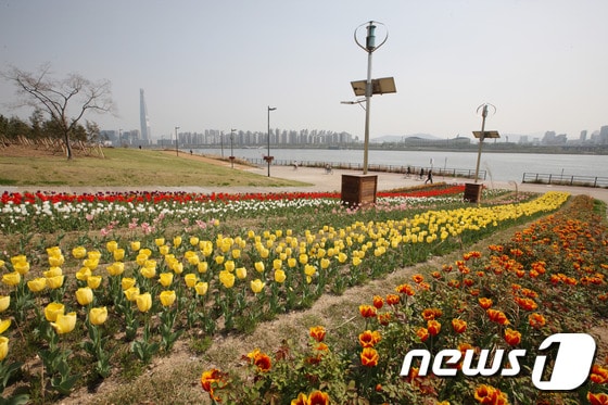 뚝섬한강공원 무지개향기원(서울시 제공)© News1