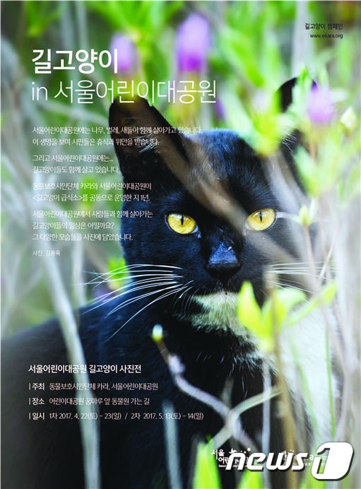 동물보호시민단체 카라(대표 임순례)와 서울어린이대공원(원장 이강오)은 오는 22~23일(1차), 5월 13~14일(2차) 두 차례에 걸쳐 어린이대공원 길고양이들의 사진전을 개최한다.© News1