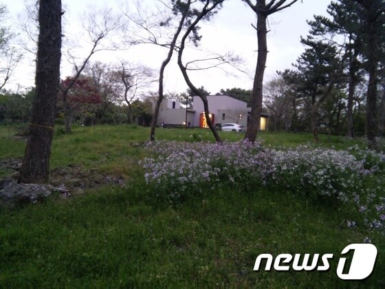 저지리 예술인마을의 모습 © News1