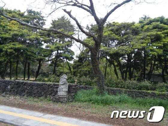 저지리 예술인마을의 모습. © News1