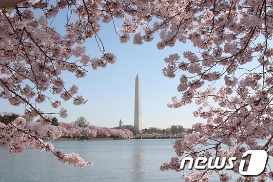 워싱턴 D.C © AFP=뉴스1