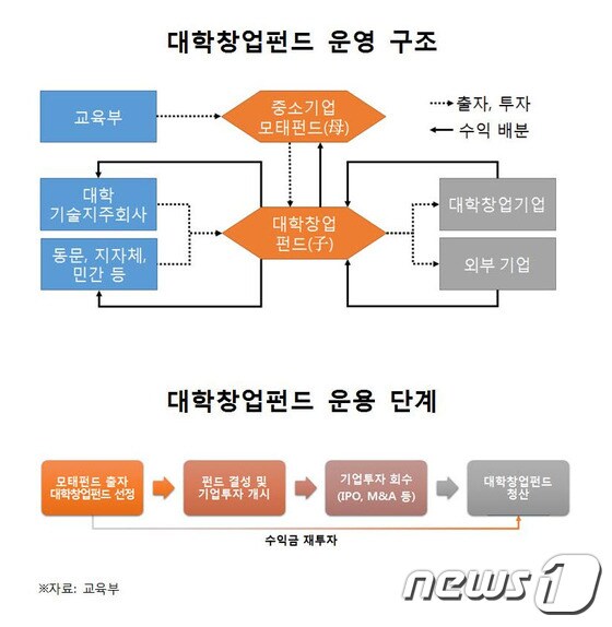 대학창업펀드 운용 구조 및 운용단계(교육부 제공)© News1