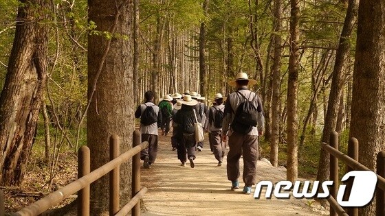 월정사 © News1 신효재 기자