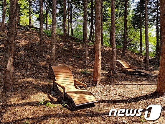 통영시가  지난 16일 북포루 일원 편백숲 5헥타르에 'HAPPY'숲'을 조성했다.(통영시 제공)© News1