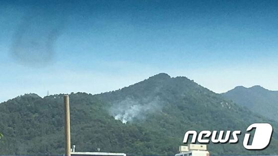 20일 오전 부산진구 백양산 중턱에서 산불이 발생했다.(부산지방경찰청 제공) 2017.5.20/뉴스1 © News1
