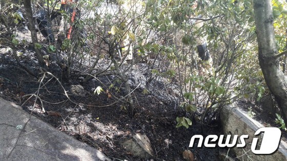 20일 오전 부산진구 백양산 중턱에서 산불이 발생했다.(부산지방경찰청 제공) 2017.5.20/뉴스1 © News1