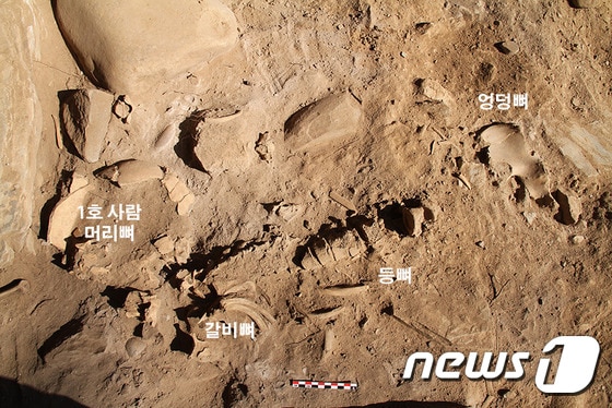 매둔굴 사람뼈 1호 출토. (문화재청 제공) © News1