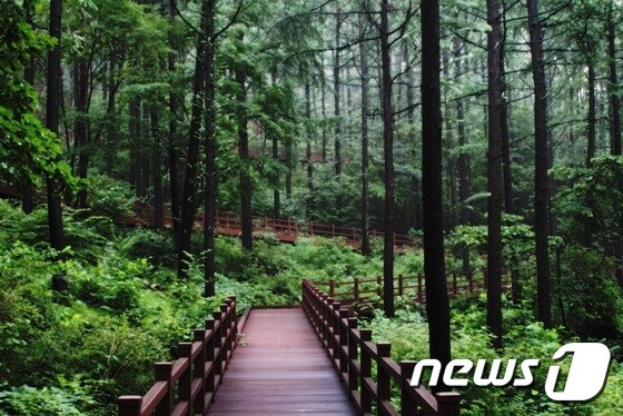 국립산림치유원 . 이하 문체부 제공 © News1