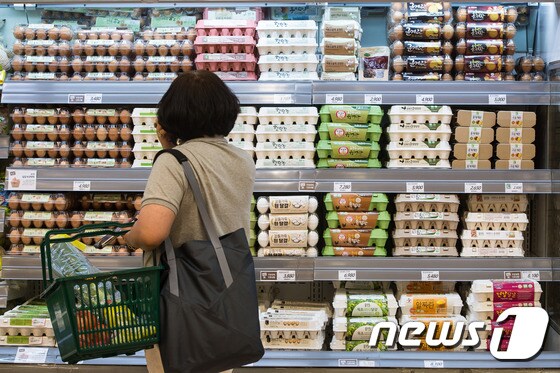 달걀값 연이은 인상에 정부 달걀 500만개 긴급 방출