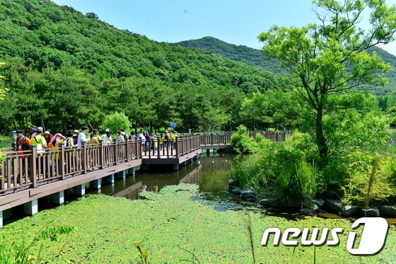 전북 고창군 선운산도립공원. © News1