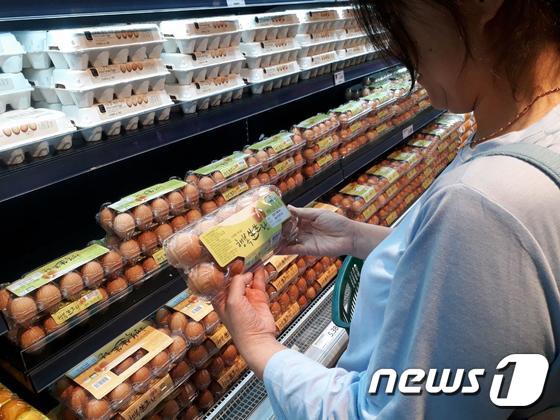 13일 강원 춘천의 한 대형마트에서 한 주부가 계란을 살펴보고 있다. © News1 홍성우 기자