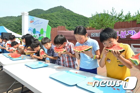 '고창 복분자와 수박축제’가 22~24일까지 3일간 전북 고창군 선운산도립공원 일원에서 열린다. 수박빨리먹기 대회 한 장면.© News1