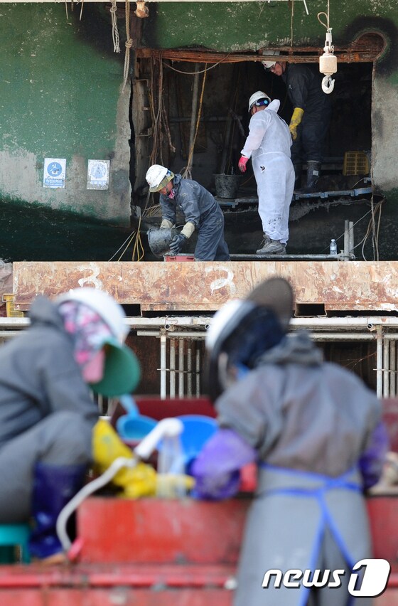 코리아 쌀베지 작업자들이 16일 오전 전남 목포신항만에 거치된 세월호에서 수색 작업을 펼치고 있다. 2017.6.16/뉴스1 © News1 남성진 기자