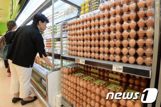 19일 오후 서울의 한 대형마트를 찾은 시민이 계란을 구매하고 있다.. 2017.6.19/뉴스1 © News1 박세연 기자