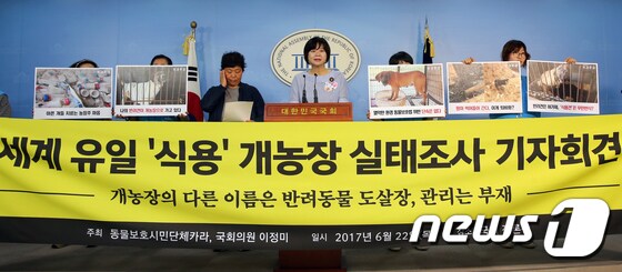 '식용 개농장 실태 심각'