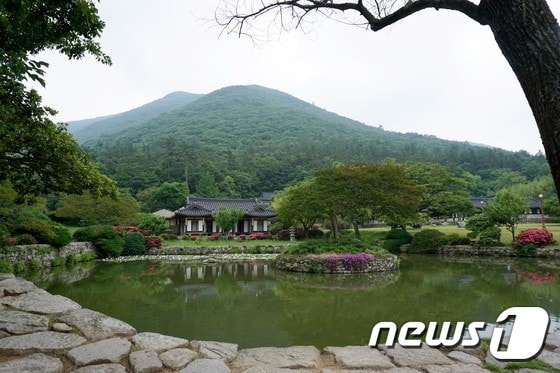 전남 진도군 의신면 운림산방로에 위치한 첨칠산의 모습(한국관광공사 제공)/뉴스1 © News1