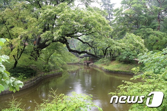 비오는 날 서울 창덕궁 후원의 연못과 관람정의 모습(한국관광공사 제공)/뉴스1 © News1