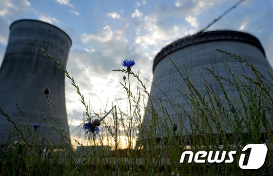 벨라루스 원전 앞에 핀 푸른 꽃. © AFP=뉴스1
