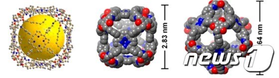 <br />유기 분자 케이지(PB-1A)의 X-ray 결정 기본 구조. 유기 분자 케이지는 다면체 구조로 12개의 분자 창으로 이루어진다.© News1