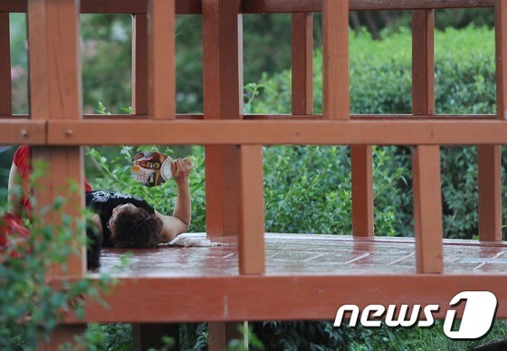 열대야로 잠을 이루지 못하다가 한낮에 정자 아래에서 더위를 식히고 있는 시민들./뉴스1 © News1 이종현 기자