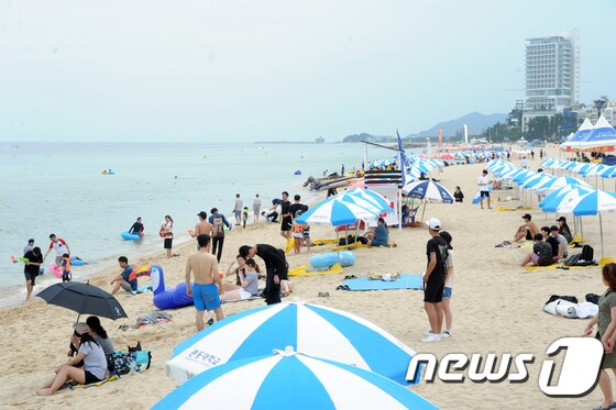 올 여름 경포해변(뉴스1 DB) © News1