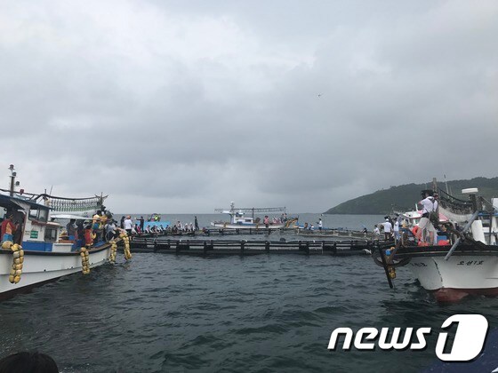 남방큰돌고래 금등(25세 추정·수컷)과 대포(24세 추정·수컷)의 방류 행사가 18일 오후 제주 함덕 앞바다에서 열렸다.(사진 어웨어 제공)© News1