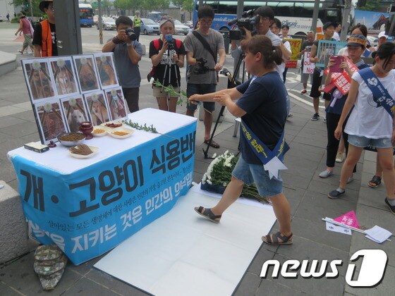 전국동물보호단체연대는 중복인 22일 오후 서울 종로구 인사동 북인사마당에서 동물위령제를 열고 인간들에 의해 학대당하고 희생된 동물들의 넋을 위로했다.© News1
