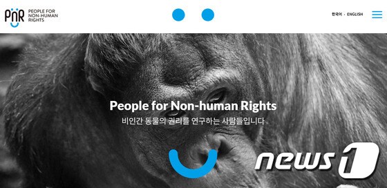 서국화(법무법인 도담)·박주연(법률사무소 한봄) 변호사 등 6명이 참여하는 동물권연구단체 '피엔알'(PNR·People for non-human rights)이 최근 출범하면서 '비인간동물의 법적 권리를 찾겠다'고 포부를 밝혔다.© News1