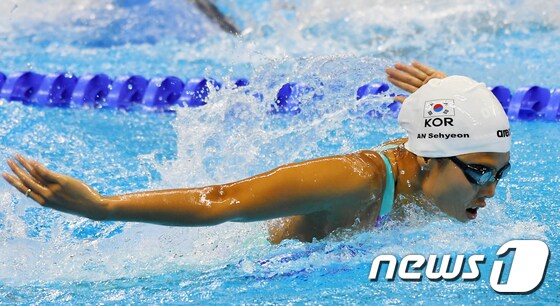 한국 여자수영의 간판, 안세현. /뉴스1 DB © News1