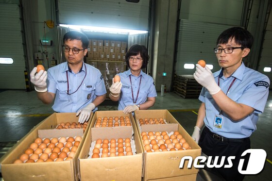 농림축산검역본부 직원들이 태국에서 수입된 계란에 대한 검역을 하고 있다. 