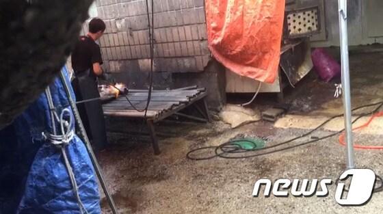 지난달 29일 경기 성남시 모란시장 내 한 업소에서 개를 도살하고 있는 모습.(사진 케어 제공)© News1