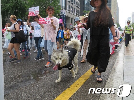 9일 오후 서울광장에서 열린 'STOP IT 2017' 페스티벌 참가자들이 거리행진을 하며 개식용 반대를 외치고 있는 가운데 한 참가자가 반려견과 함께 참여해 눈길을 끌었다. © News1