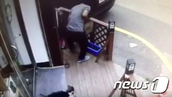 '인천 공방 테라스 길고양이 살해사건' CCTV 영상. © News1 DB