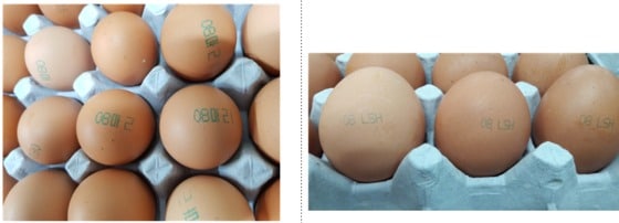 살충제가 검출된 농장에서 유통된 달걀.사진=식품의약품안전처./© News1