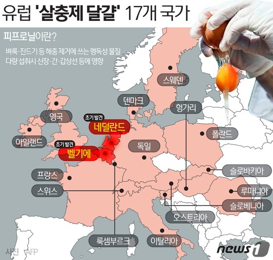'살충제 달걀' 사태가 발생한 유럽 국가는 17개국으로, 아시아 홍콩·한국을 포함하면 19개국에 살충제 달걀이 확산됐다. © News1 최진모 디자이너