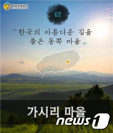 한국의 아름다운 길을 품은 동쪽 마을 ‘가시리 마을’. © News1