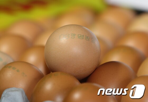 제주서 회수된 '08광명농장' 계란