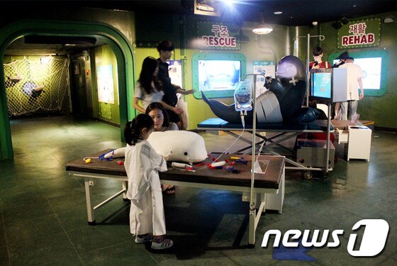 상괭이 병원 내부. 부산아쿠아리움 제공.© News1