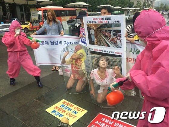 동물보호단체들이 23일 낮 서울 종로구 광화문광장 이순신동상 앞에서 정부에 '살충제 계란' 해결을 촉구하고 있다.© News1
