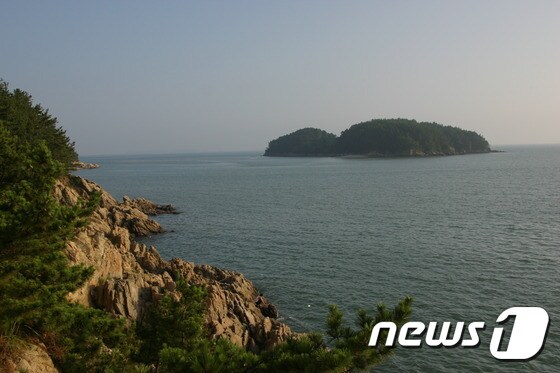 쌍도 앞 바닷가© News1
