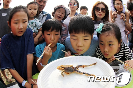 24일 전북 완주군 고산자연휴양림 일원에서 열리고 있는 '2017와일드푸드축제'를 찾은 어린이들이 개구리 튀김을 살펴보고 있다. (완주군 제공) 2017.9.24/뉴스1 © News1 이재명 기자