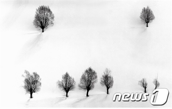 압바스 키아로스타미, Snow No.4 , 57 x 90 cm, Digital print on rag paper, 2002 (소울아트스페이스 제공) © News1