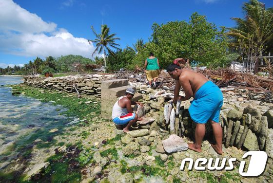남태평양 섬나라인 키리바시 공화국 키리티마티섬에서 주민들이 해수면 상승에 대비해 돌벽을 세우고 있다. © AFP=뉴스1
