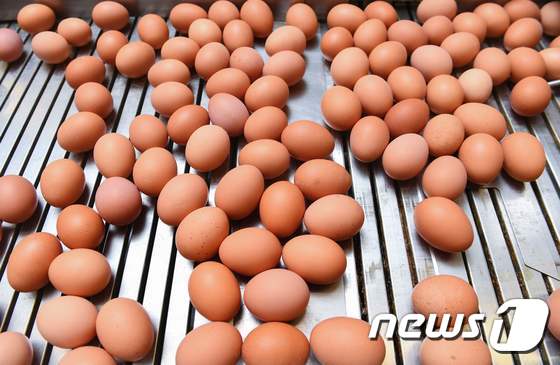 유럽연합(EU)은 지난 8월 유럽에서 시작된 '살충제 달걀' 파동이 세계 45개국으로 확산됐다고 밝혔다. © AFP=뉴스1