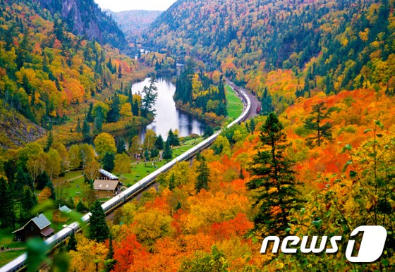 수생마리의 아가와 협곡 열차. 캐나다관광청 제공.© News1