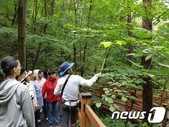 한국산림복지진흥원 캠프 모습 © News1