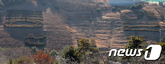 강원도 최북단 고성 통일전망대 인근 언덕에 새겨진 ‘통일’문구 (뉴스1DB)