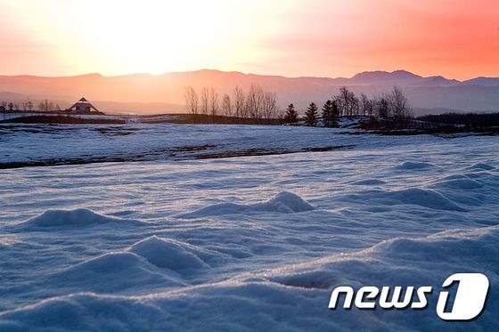 홋카이도 비에이 평원.  이하 소쿠리패스 제공 © News1