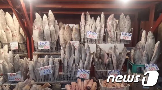 러시아 야쿠츠크 어시장 바구니에 꽁꽁 언 생선들이 꽂혀있다.  (유튜브 갈무리) © News1